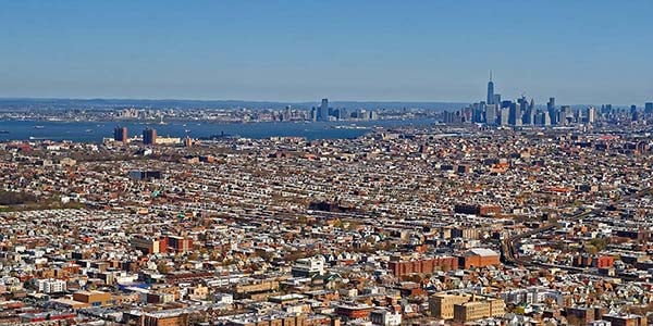 The Challenging Life of Urban Hams